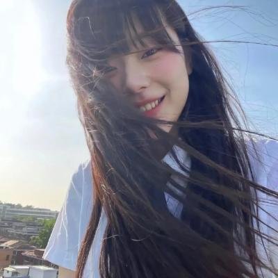 美国豚鼠