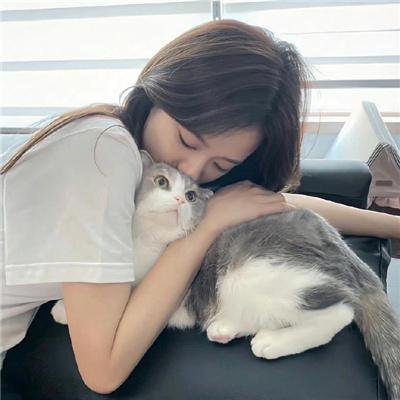 七彩狗