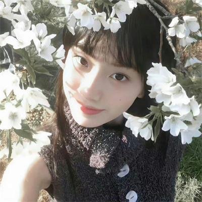 野鸭变凤凰3